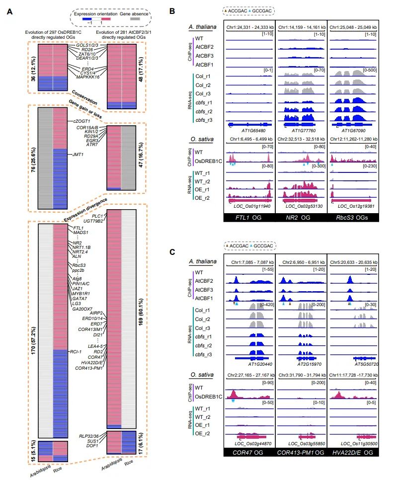 141373e0290c0c76d2029d0f18830c12_unpub_85e6ca03e19f476b904af10eb7cf683e.png